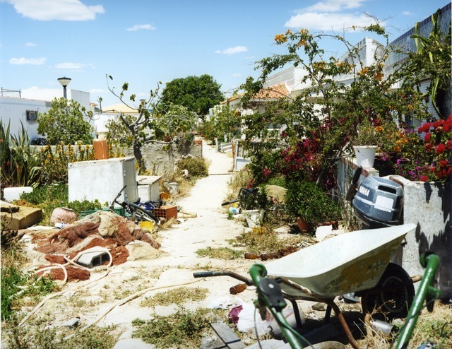 © Joachim Brohm, Garden, courtesy Brancolini Grimaldi
