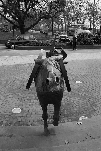 War memorial donkey by Brron