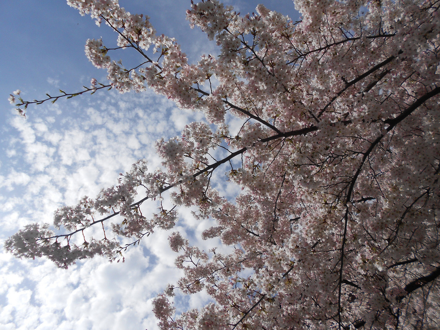 Photo by Naroa.