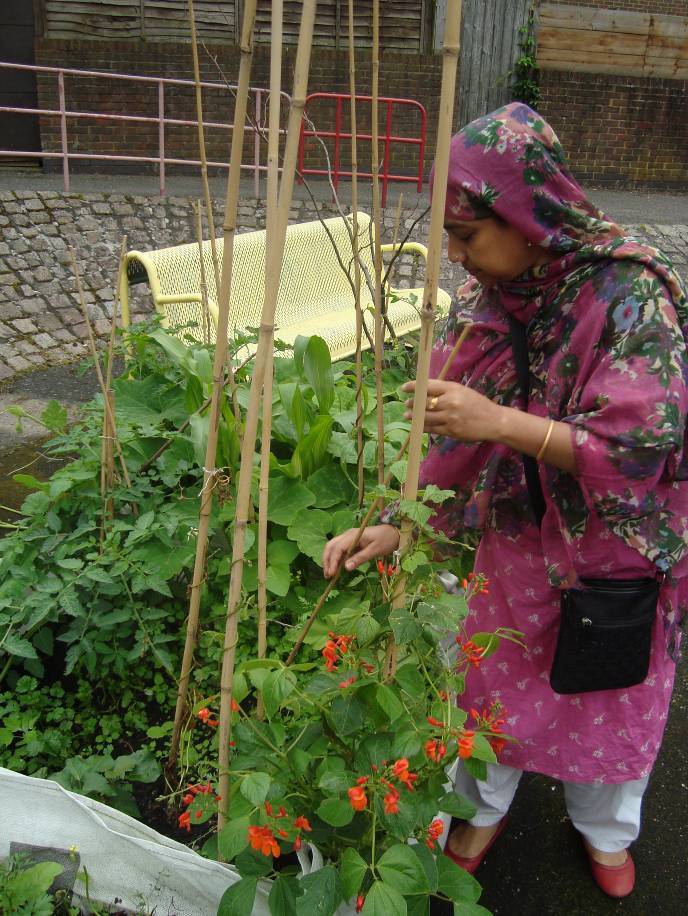 Sajeda with her runner beans