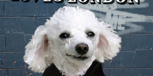Peggy Lee Loves London: A Wuff Guide To The Capital