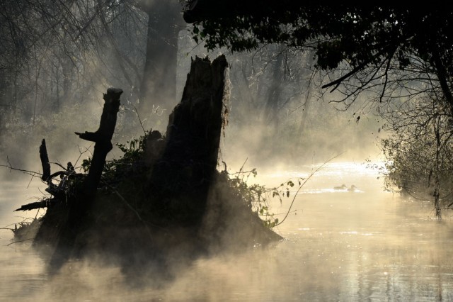 Wandle