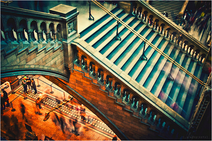 Natural History Museum by grotography