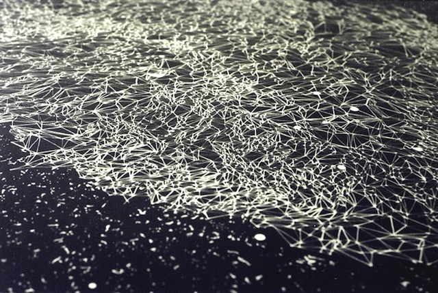 Becky Allen, Nuclei