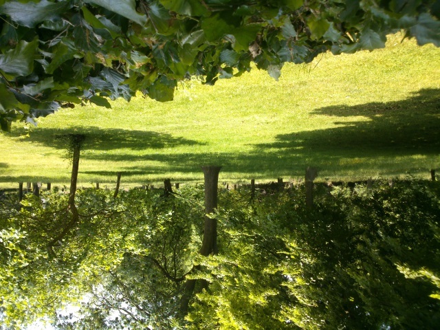 dsc_0113.jpg