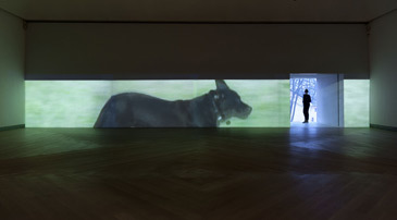 Sturtevant
Finite Infinite 2010
Video installation
Installation view Moderna Museet, Stockholm
Photograph: Asa Lundén
© 2013 Sturtevant