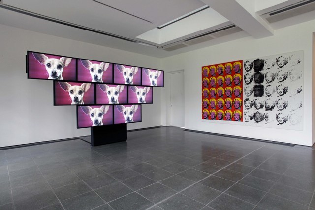 STURTEVANT
Installation view, STURTEVANT: LEAPS JUMPS AND BUMPS
Serpentine Gallery, London
© 2013 Jerry Hardman-Jones