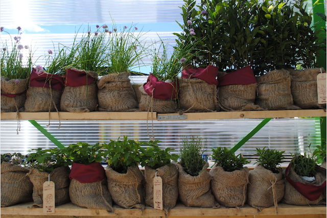 A house of herbs.
