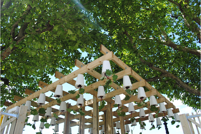 Hanging gardens.