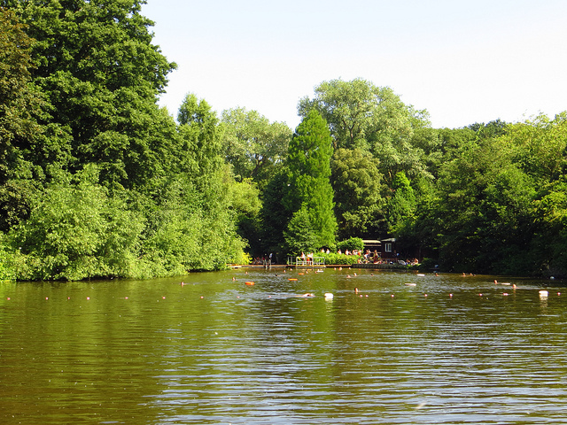 Hampstead mixed pond by Laura Nolte