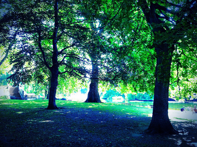 Park, between meetings by Andy Blackwell