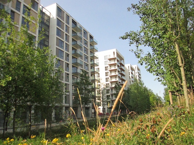 The view from Glade Walk.