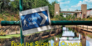 Books Roundup: Olympics, Pub Walks, Trivia And More