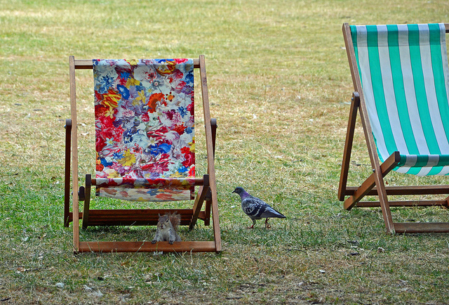 deckchairs_060813