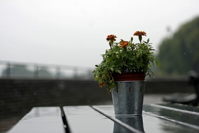 Rainy pub bench