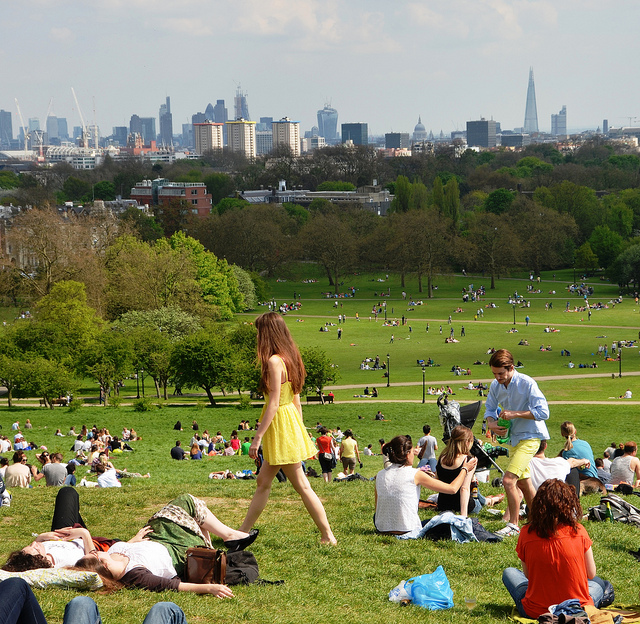 Primrose Hill by Duncan Harris
