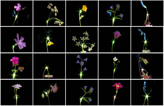 the-consumptive-sublime-2008-video.jpg