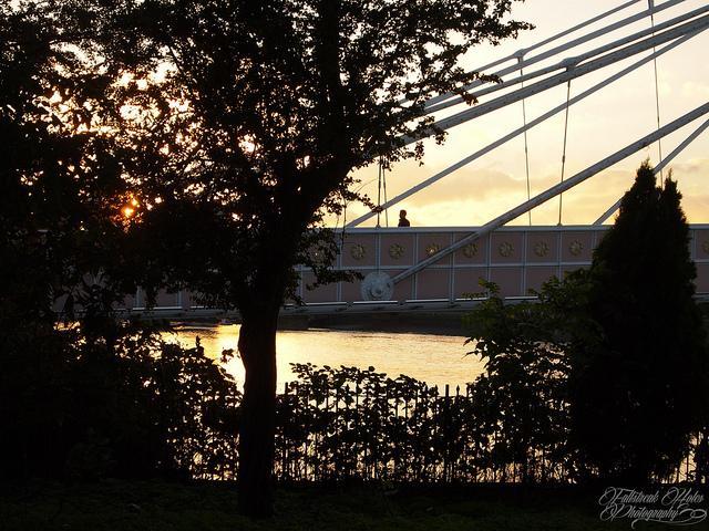 albertbridge_200913