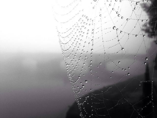 fog