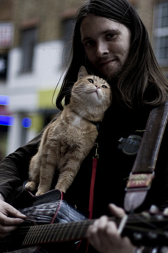 Tom the Guitar-Cat and James the Guitar-Man by Haje Jan Kamps
