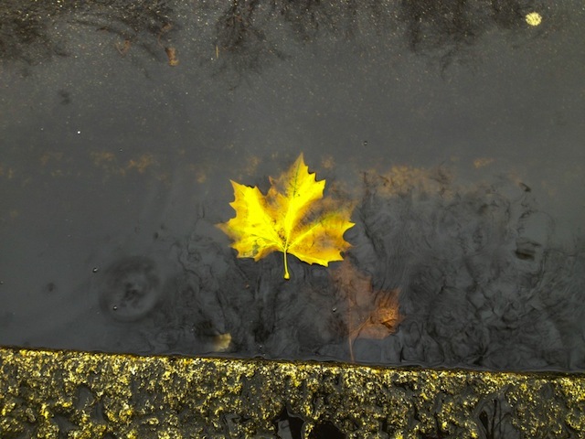 Falling by Erik Sheridan, taken near Tooting Common