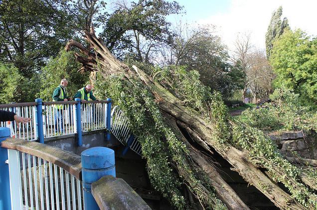 beverleybrook_281013