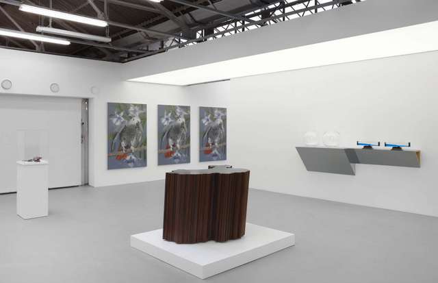 Island, Installation View. Image courtesy Dairy Arts Centre.