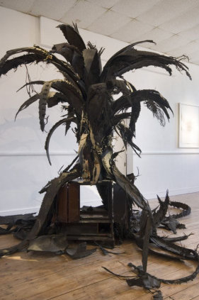 Douglas White, Crow's Stove Palm Tree. Image courtesy the artist and Dairy Art Centre