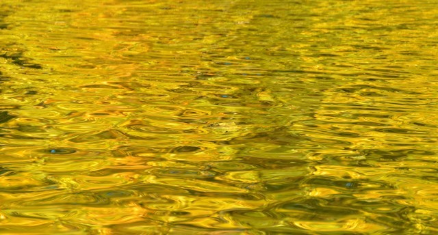 Reflected autumn colours