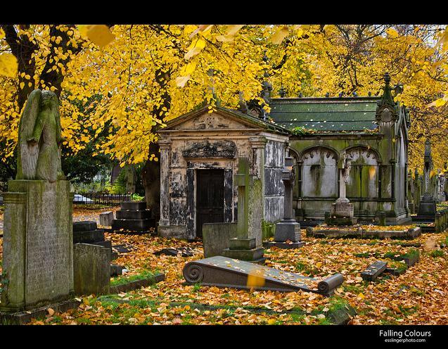 autumn_211113