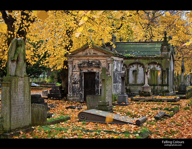Brompton Cemetery by John Esslinger