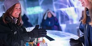 Dine Another Day: Win Tickets to the ICEBAR New Year's Eve Party