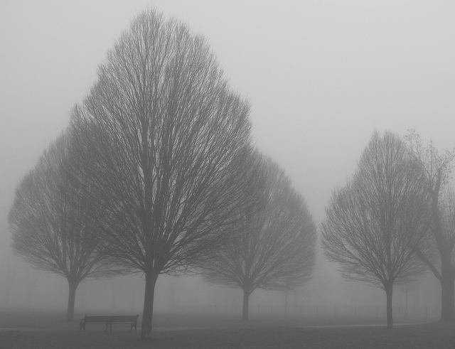 foggy_111213