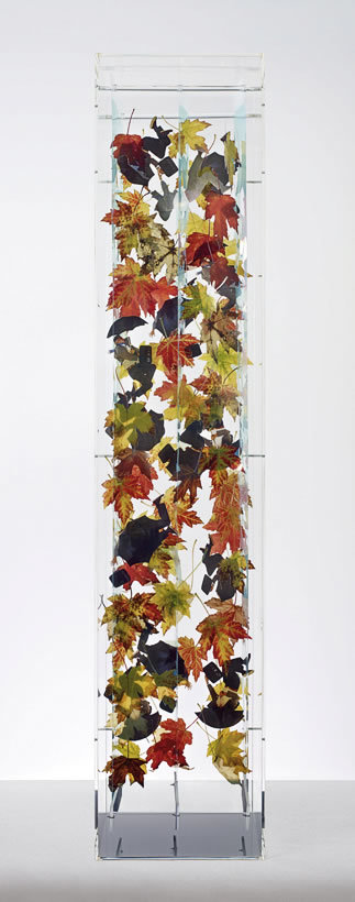 Birds Fly Out Of Books In The Precise Art Of Jack Milroy Londonist birds fly out of books in the precise