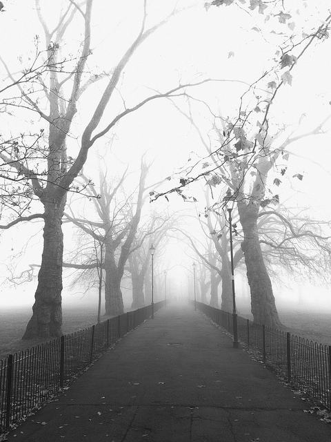 Highbury Fields by Mark Walton1