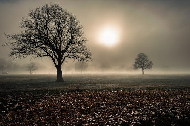 Clapham Common by Torsten Reimer