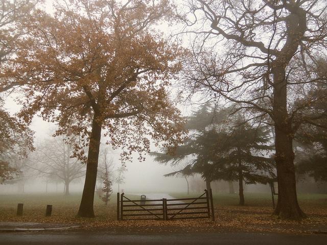 Barham Park in Sudbury by ca1951rr