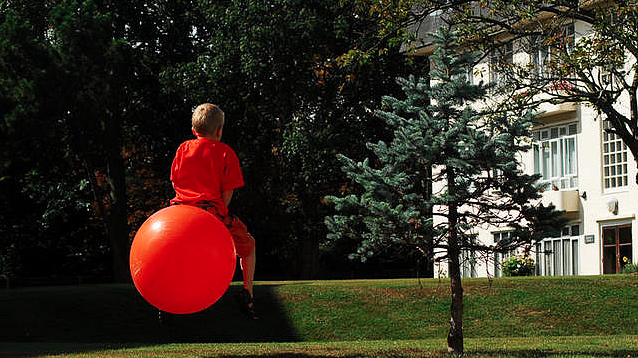 Flying Space Hopper by Paul Treacy