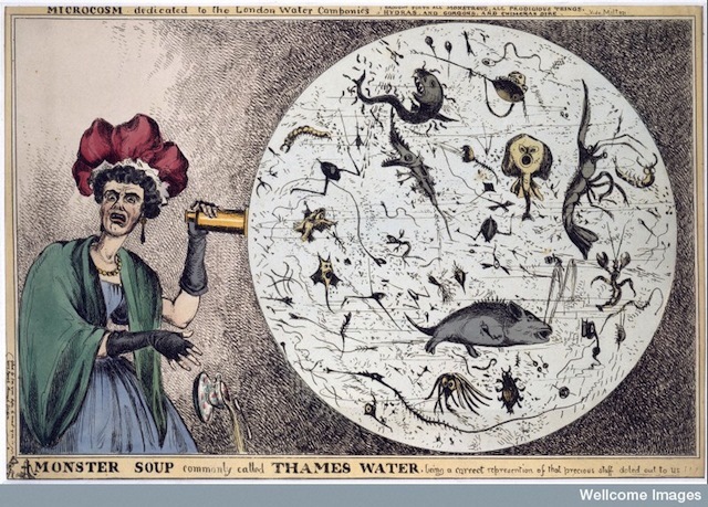 L0006579 Engraving: 'Monster Soup..." by William Heath