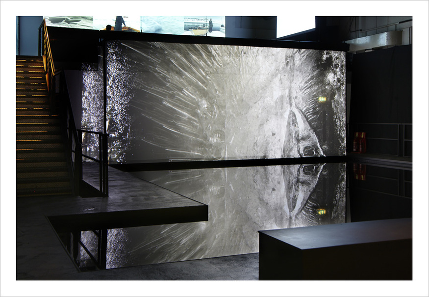 Elizabeth Ogilvie, Out Of Ice (installation view). Photo: Julian Abrams