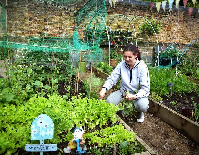 allotment_240214