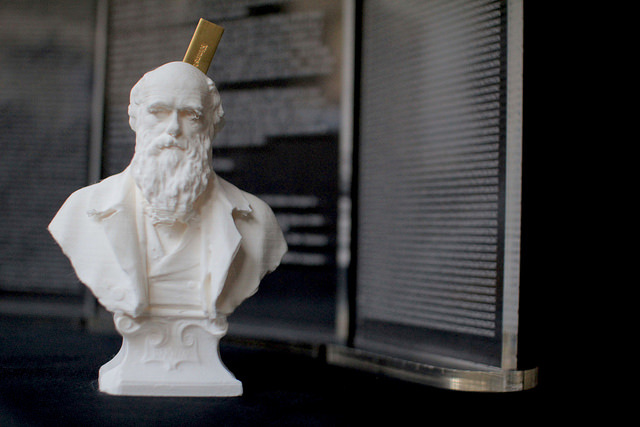 Graeme Smith and Tom Catling: 'Darwin’s bust printed from a 3D file, which has been converted from its original binary code, as shown on the left, into a genetic code, as shown on the right. A USB stick embedded within Darwin’s head encodes his 3D likeness in a format ready to be stored into DNA.'  © UCL, Institute of Making/Robert Eagle