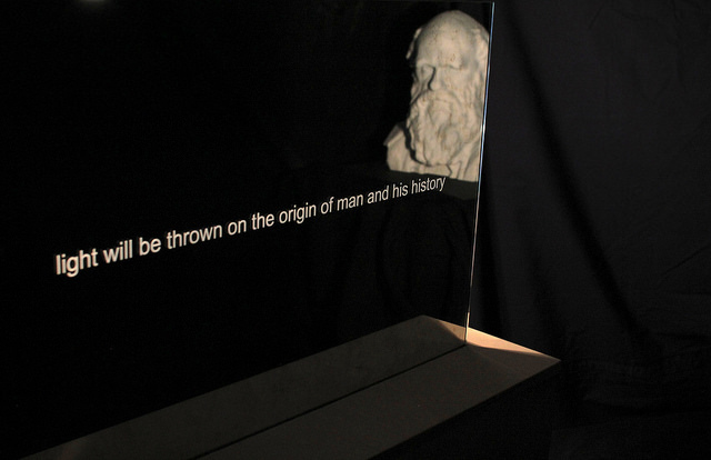 Josephine McNally: 'On one level this sculpture works as an interactive device – reflecting back whoever looks into it. On another, it is about seeing who we are. The etched words create interest which hopefully leads on to investigation – the basis of all science.'