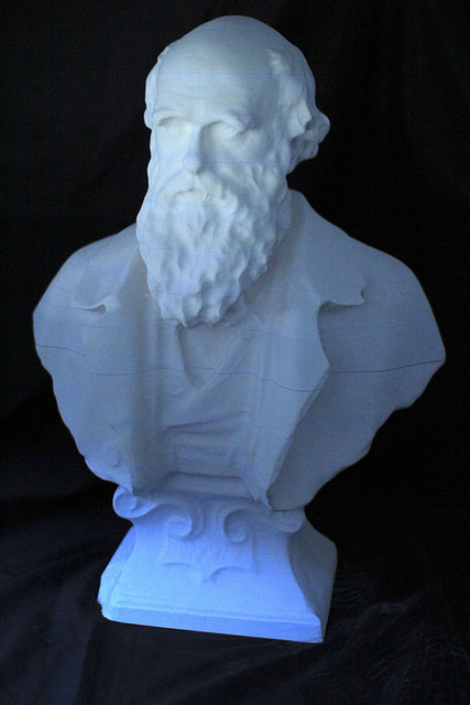 A 3D print of Darwin, completed by B>MADE, Bartlett Manufacturing and Design Exchange at The Bartlett School of Architecture, UCL. © UCL, Institute of Making/Robert Eagle