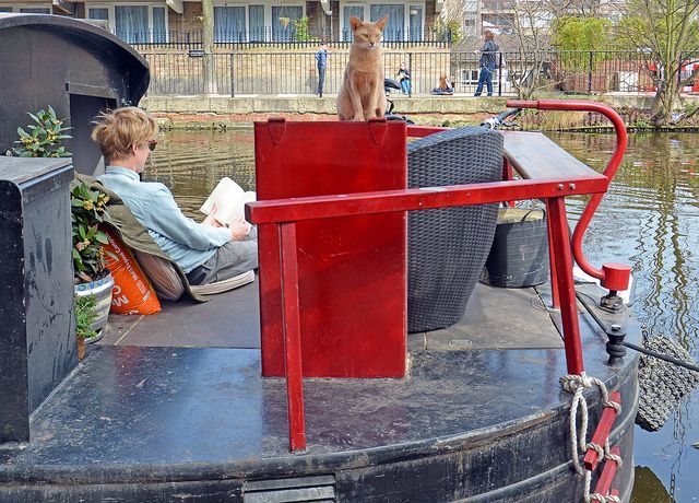 boatlife_310314