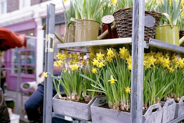 Buy your own flowers at Columbia Road Market by Paul Sweeney