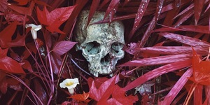 A Pink Hued Take On War By Richard Mosse