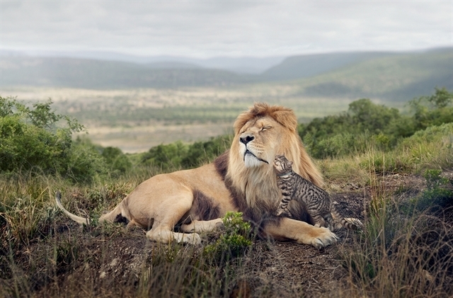 George Logan, UK. Image courtesy World Photography Organisation