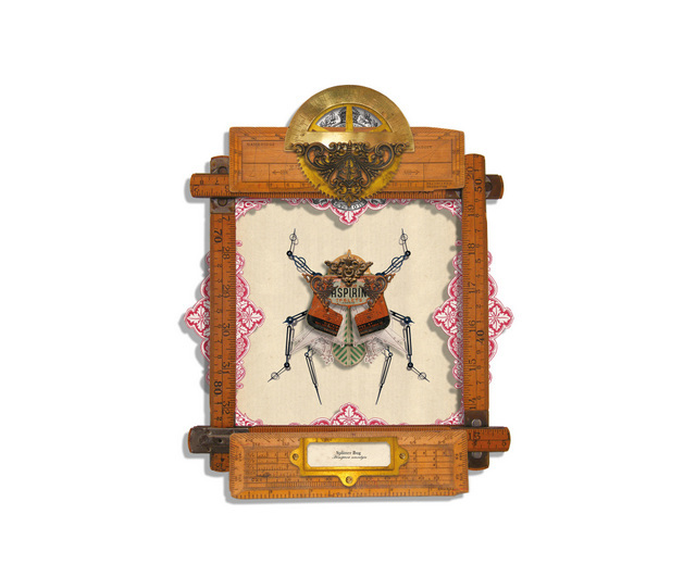 Mark Oliver, Splitter Bug Assemblage. Image courtesy and copyright of the artist.