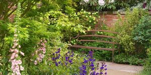 RHS Chelsea Flower Show 2014 Coming Soon